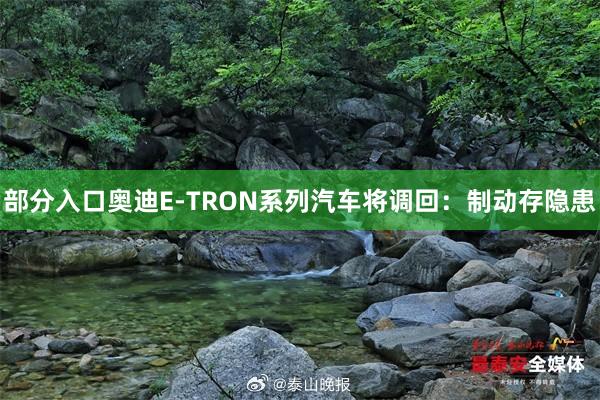 部分入口奥迪E-TRON系列汽车将调回：制动存隐患