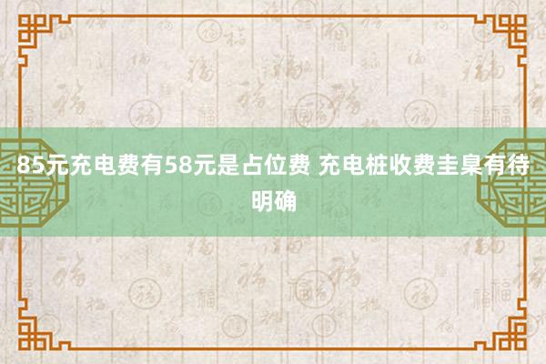 85元充电费有58元是占位费 充电桩收费圭臬有待明确