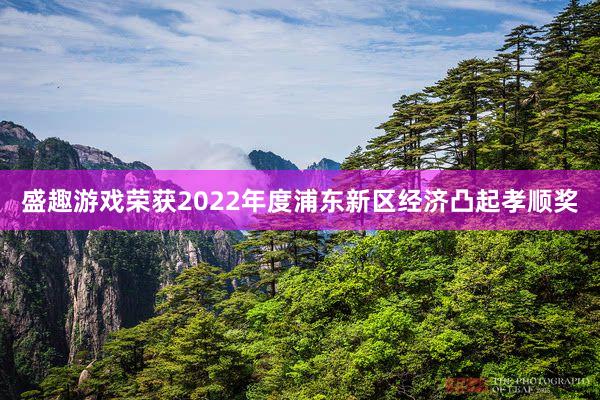 盛趣游戏荣获2022年度浦东新区经济凸起孝顺奖