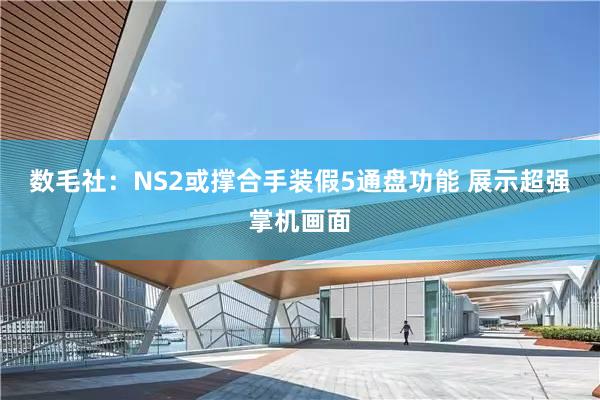 数毛社：NS2或撑合手装假5通盘功能 展示超强掌机画面