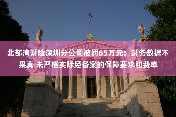 北部湾财险深圳分公司被罚65万元：财务数据不果真 未严格实际经备案的保障要求和费率