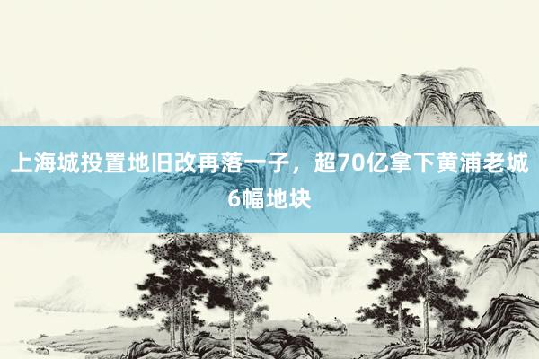 上海城投置地旧改再落一子，超70亿拿下黄浦老城6幅地块