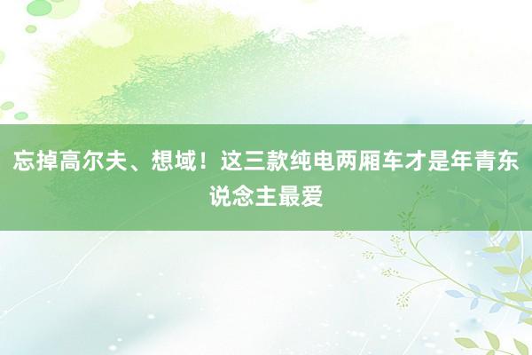 忘掉高尔夫、想域！这三款纯电两厢车才是年青东说念主最爱