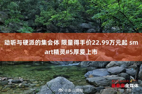 动听与硬派的集会体 限量得手价22.99万元起 smart精灵#5厚爱上市