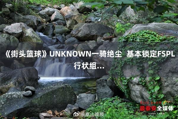 《街头篮球》UNKNOWN一骑绝尘  基本锁定FSPL行状组...